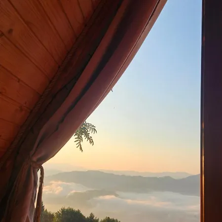 роза вітрів намбер ван Chalet *